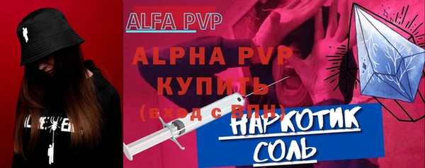 индика Михайловск
