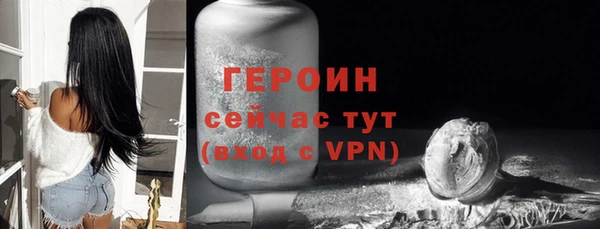 индика Михайловск