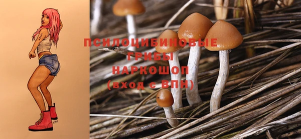 дживик Надым