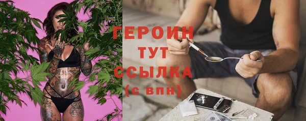 дживик Надым