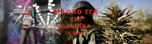 дживик Надым