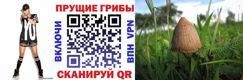 Псилоцибиновые грибы ЛСД  Палласовка 